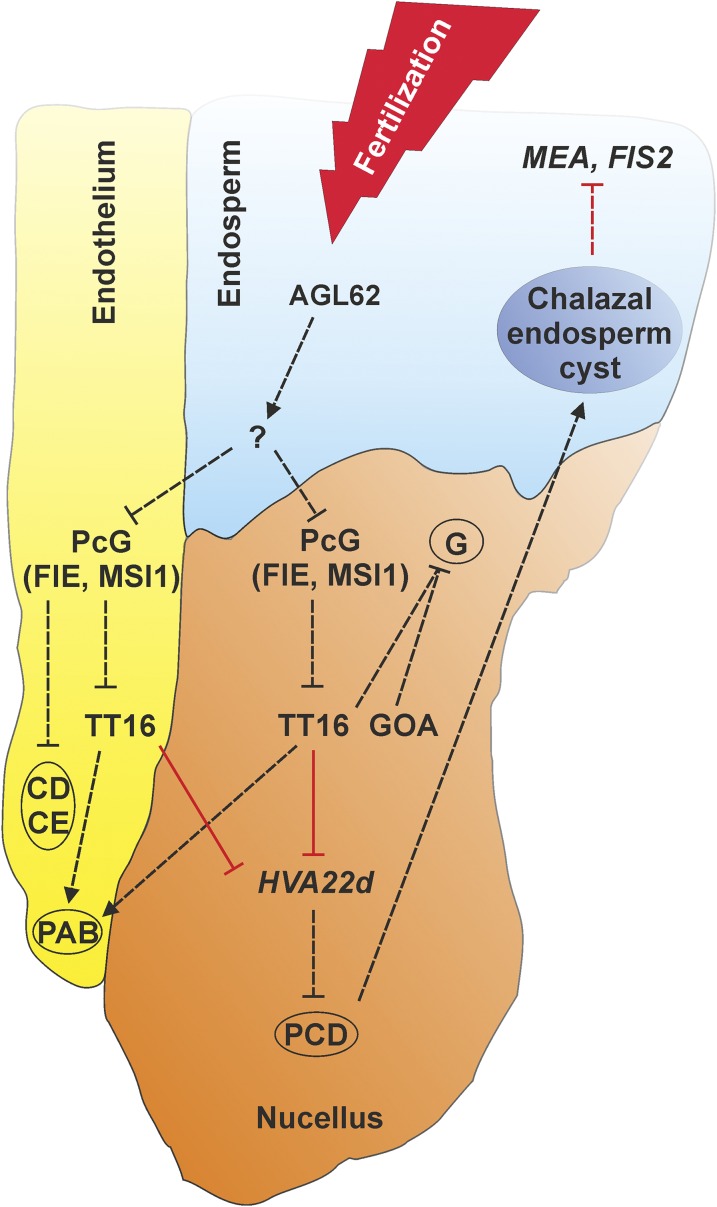 Figure 8.