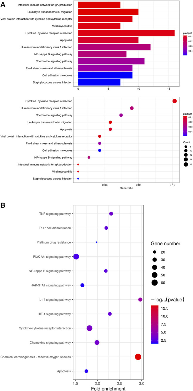 FIGURE 6