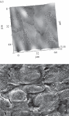 Figure 2.