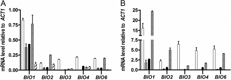 FIG 3