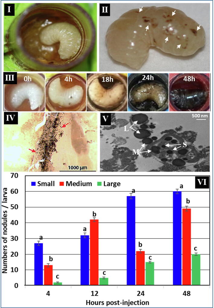 Fig 5