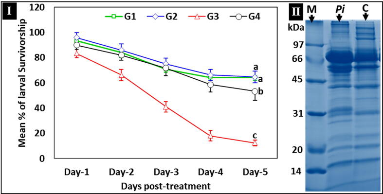 Fig 7