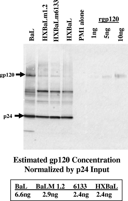 FIG. 5.