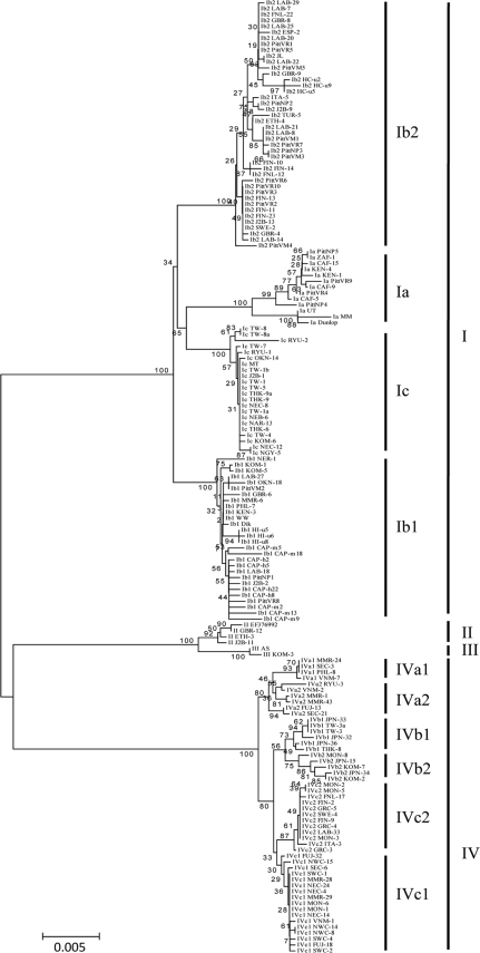 FIG. 3.