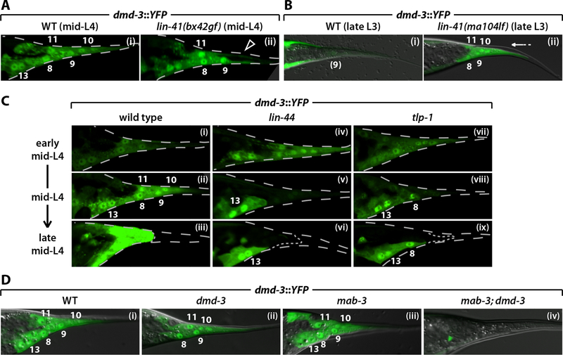 Figure 4.