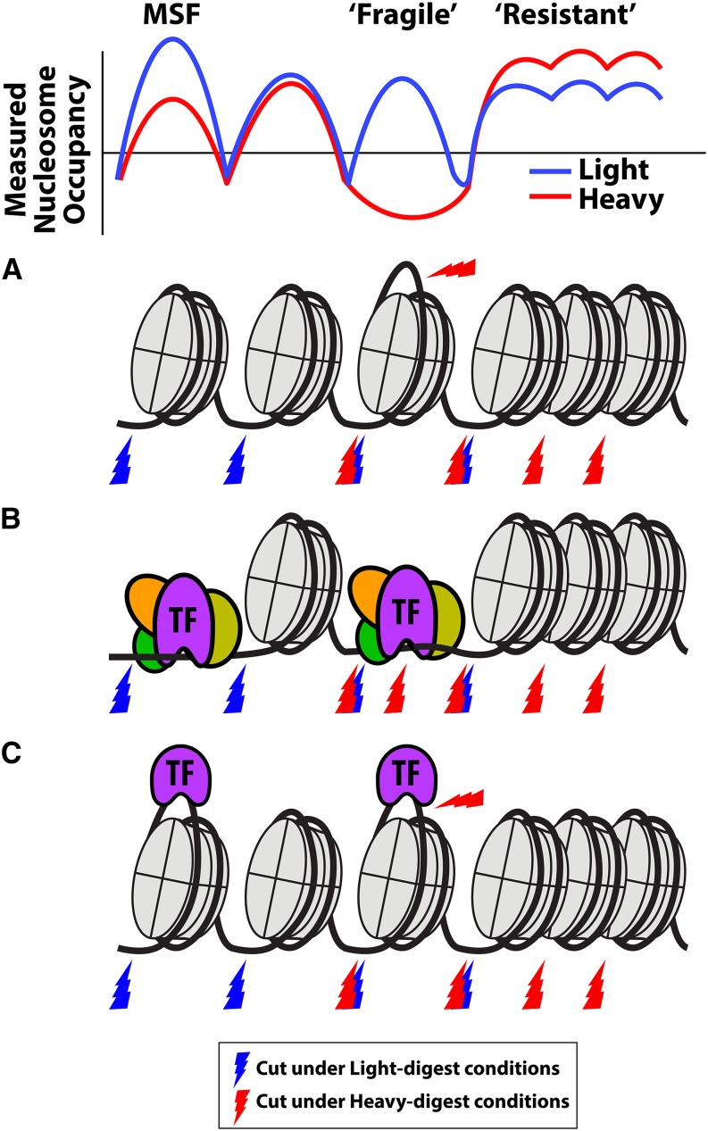 Figure 6.