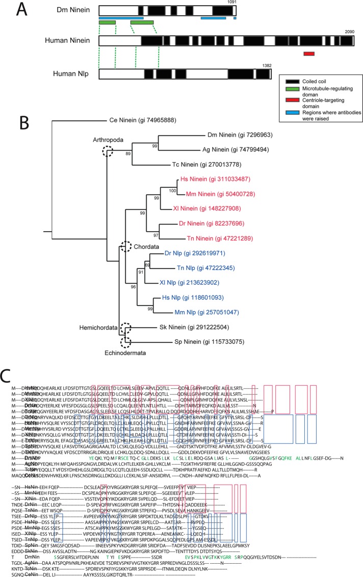 FIGURE 1: