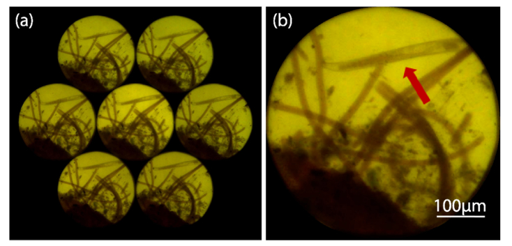 Fig. 7