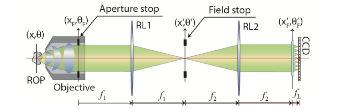 Fig. 1