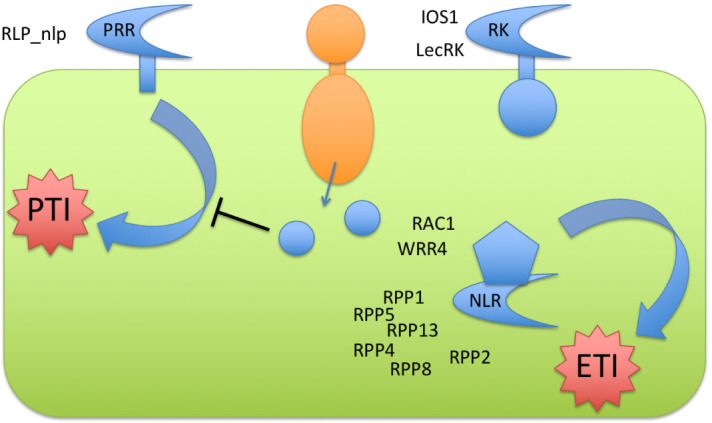 Figure 3.