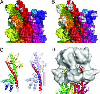 Fig. 4.