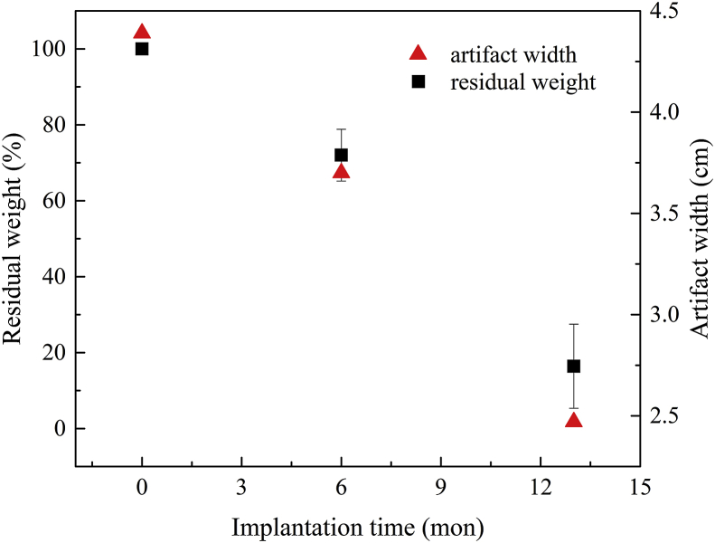 Fig. 10