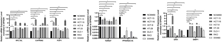 Figure 10