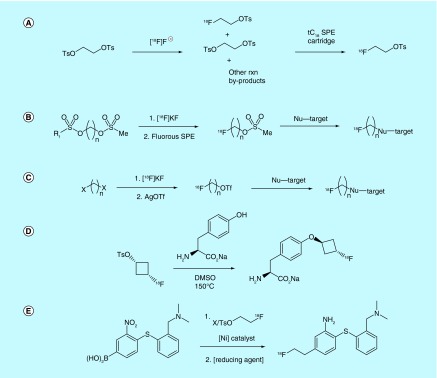 Figure 11. 