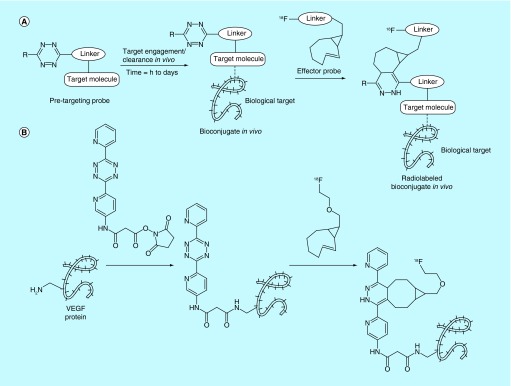 Figure 17. 