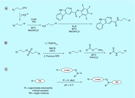 Figure 13. 