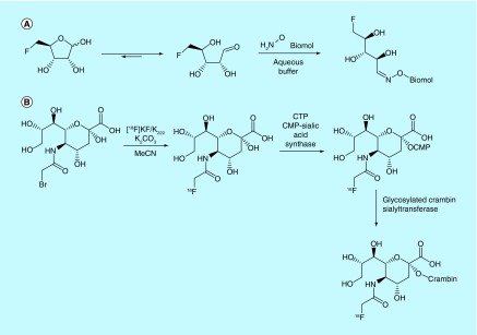 Figure 15. 