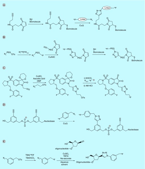 Figure 14. 