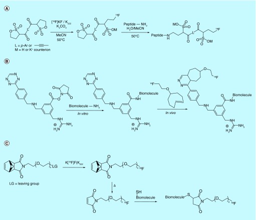 Figure 16. 