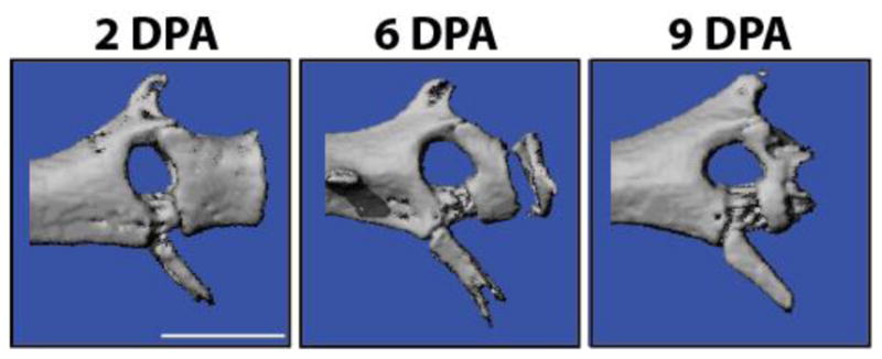 Fig. 5