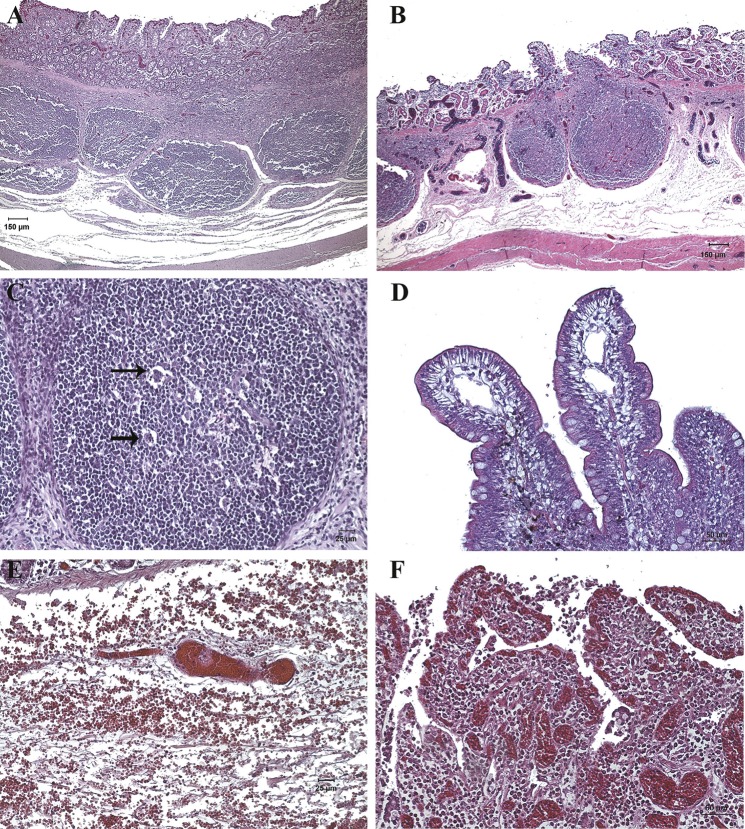 Fig 9