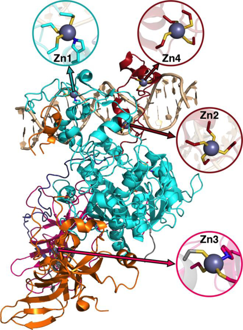 Figure 10.