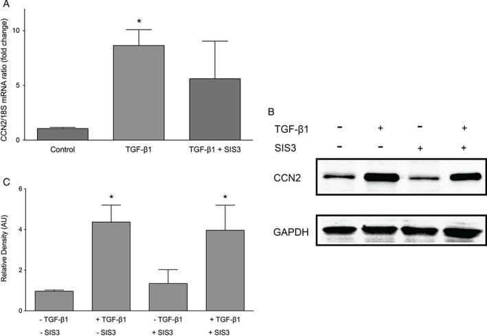 IWJ-12749-FIG-0006-b