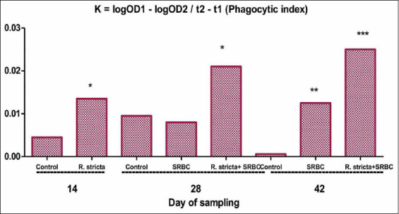 Figure-3