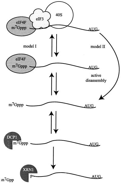 FIG. 8