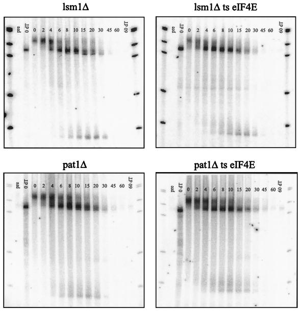 FIG. 7