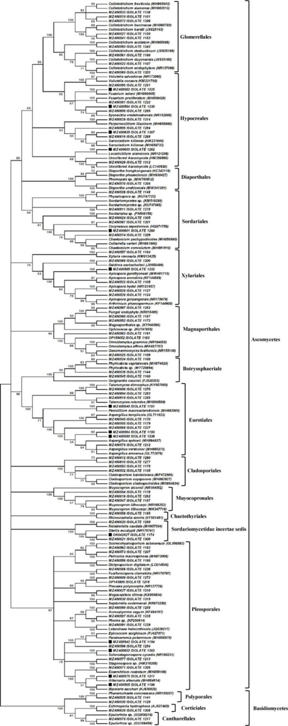 FIGURE 2