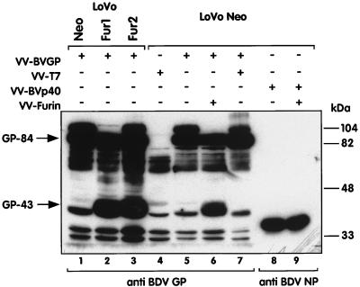 FIG. 6