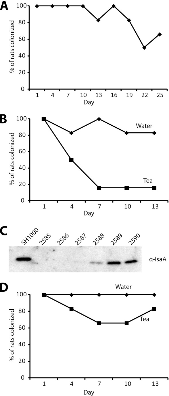 Fig 7