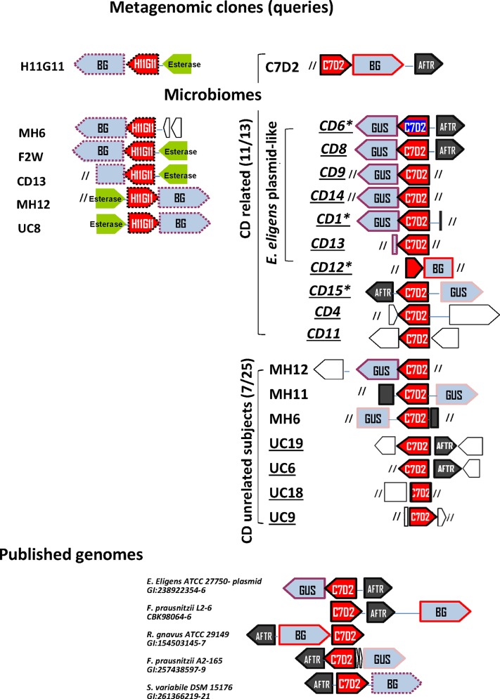 Fig 3