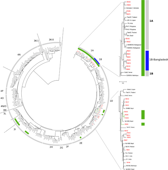 FIGURE 2