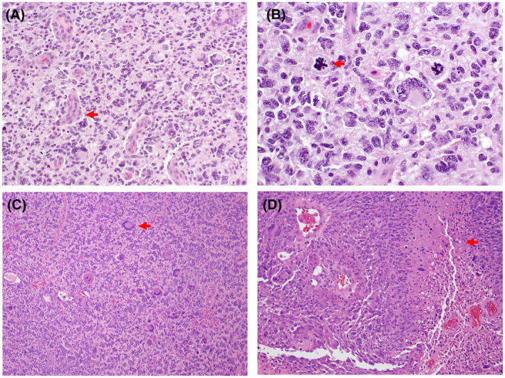 FIGURE 6