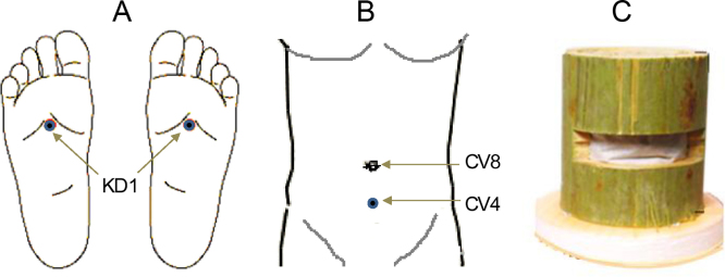 Fig. 1