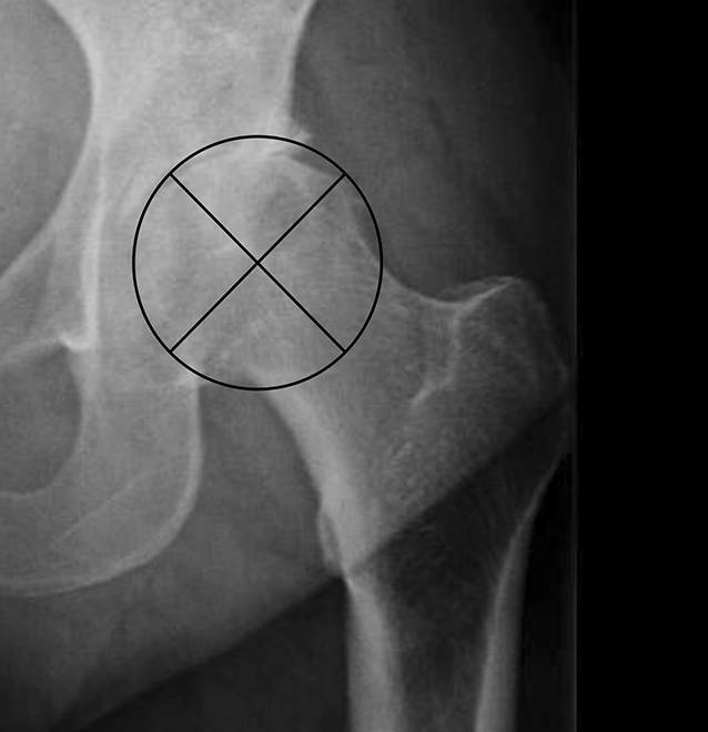 graphic file with name 132_2020_3941_Fig2_HTML.jpg