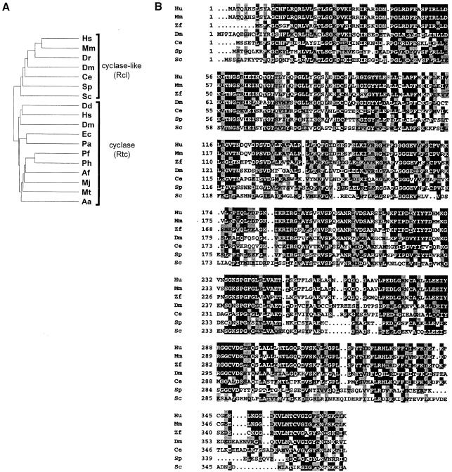 graphic file with name cdd202f1.jpg