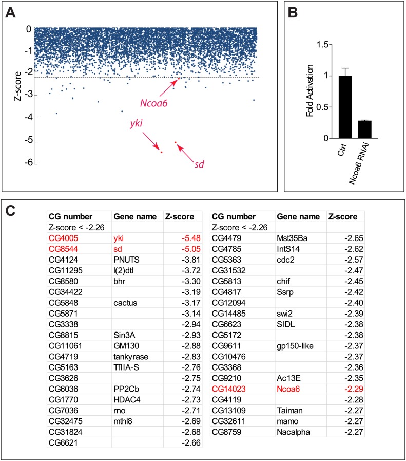 Figure 1—figure supplement1.