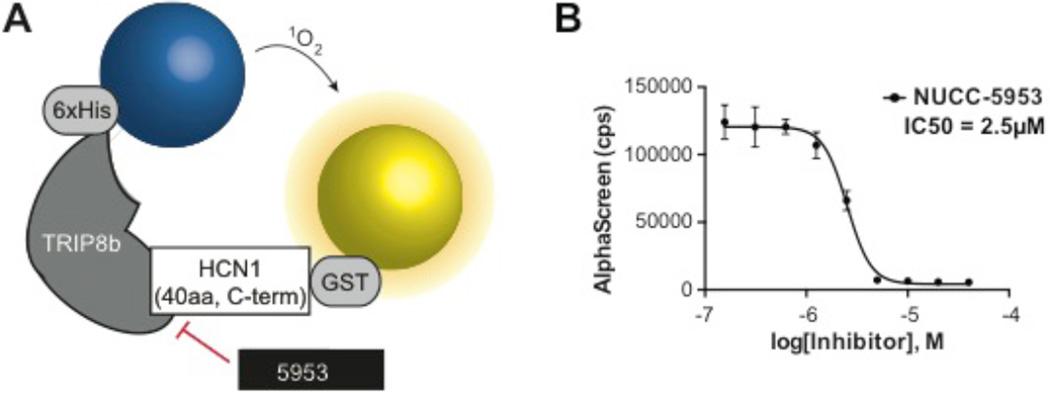 Figure 6