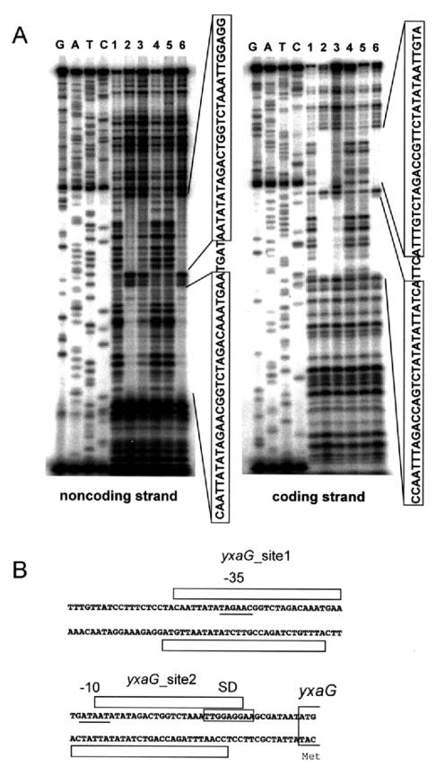 FIG. 6.