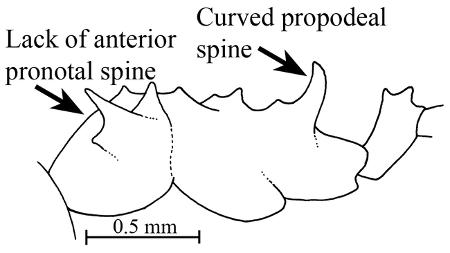 Figure 6.