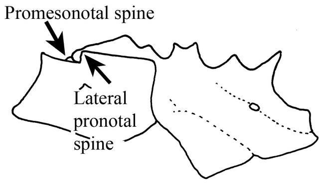 Figure 8.