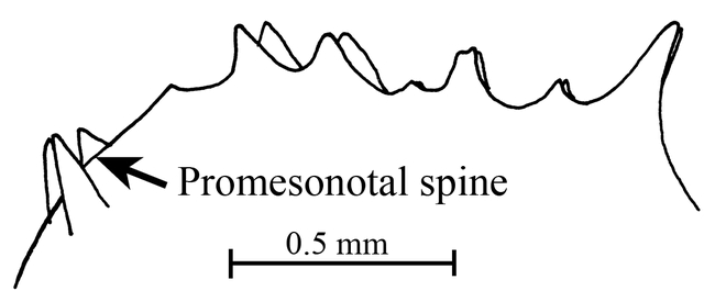 Figure 9.