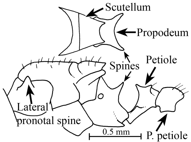 Figure 10.