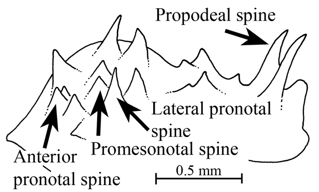 Figure 7.