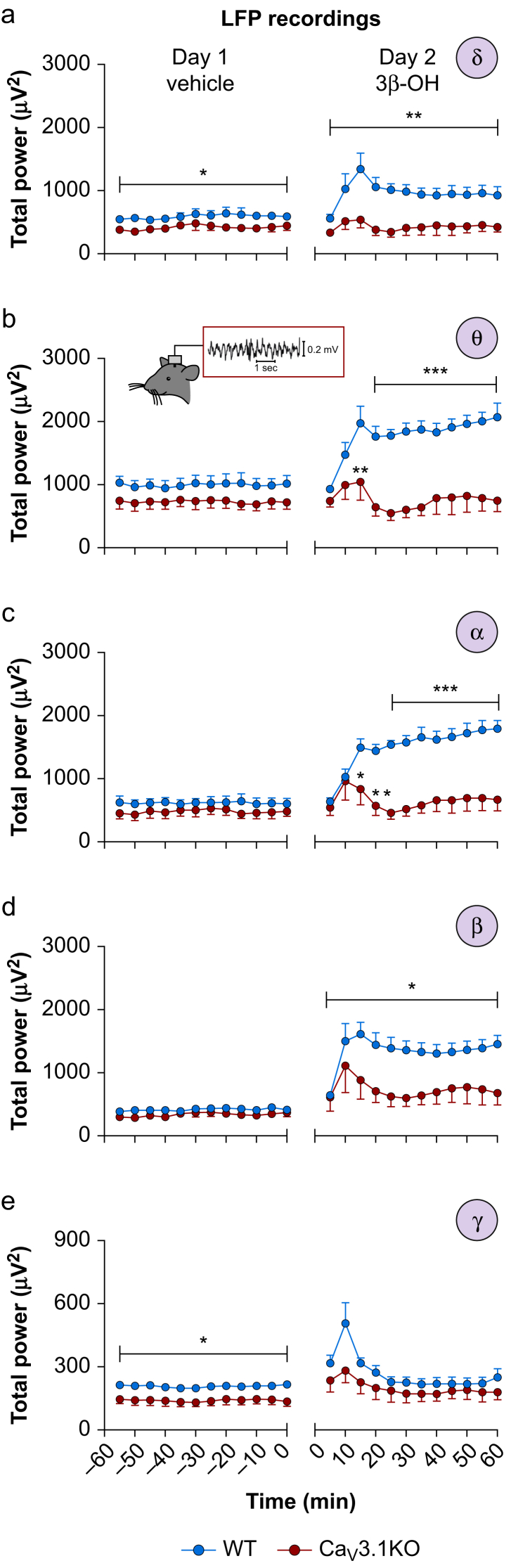 Figure 5