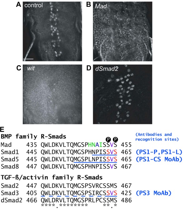 Fig. 9.