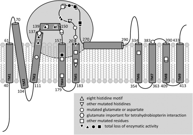 FIG 3